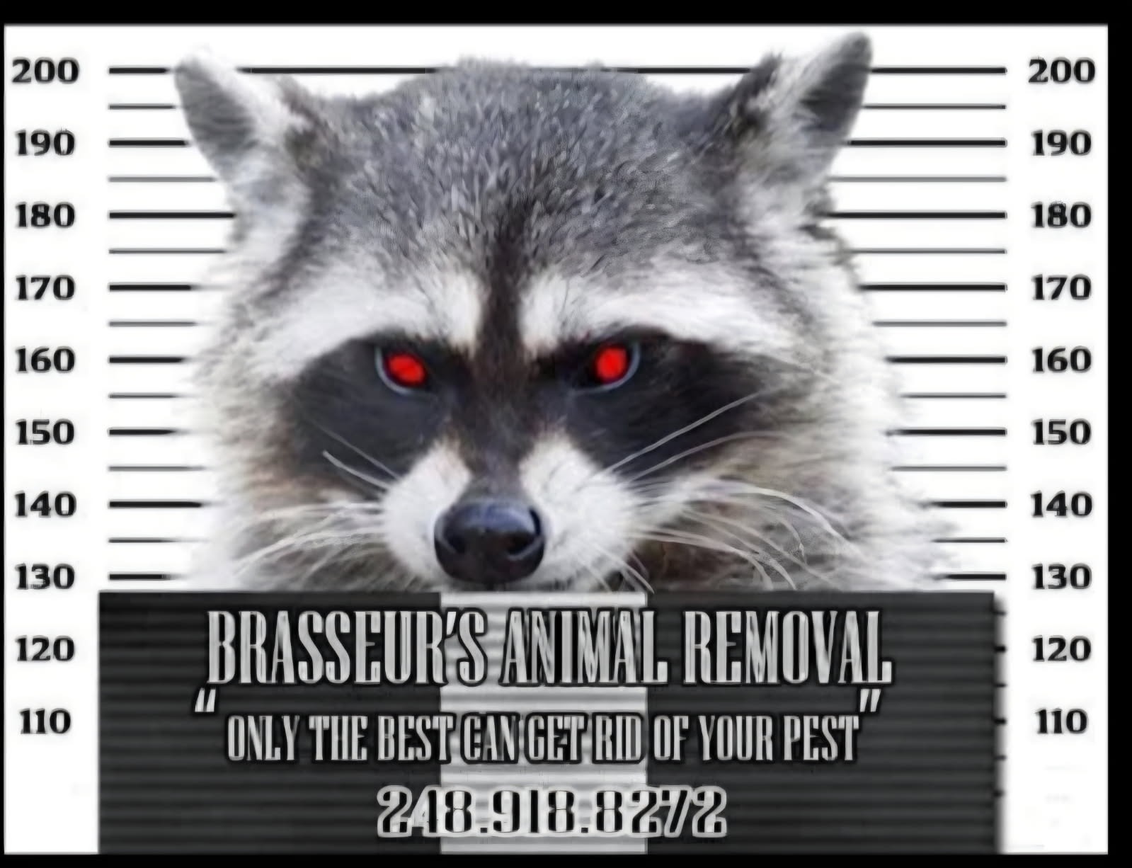 Brasseurs Animal Removal